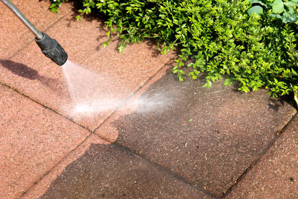 Best Roof Pressure Washing  in Fort Myers, FL